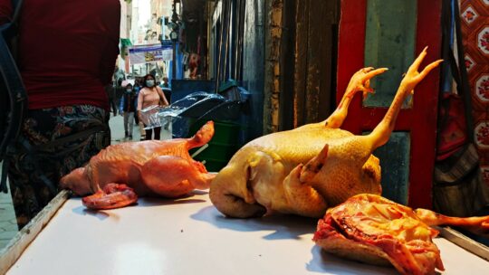 Zurück nach Kathmandu